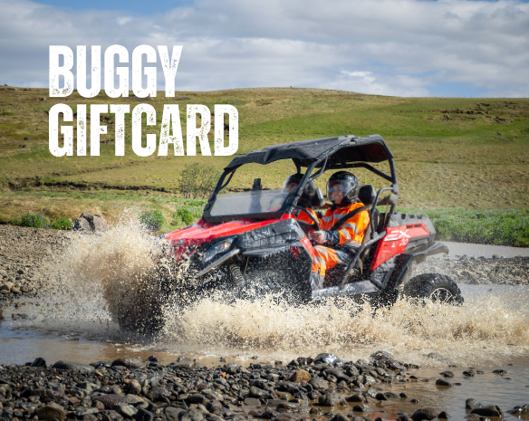 Buggy Gift Card
